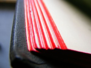 biblioteca 216 copy.jpg